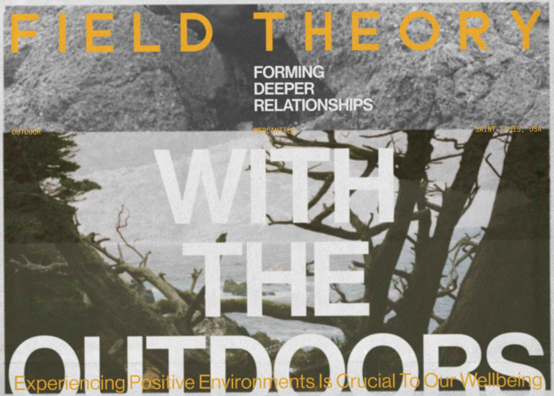 Field Theory – Creative Direction + Brand Design
