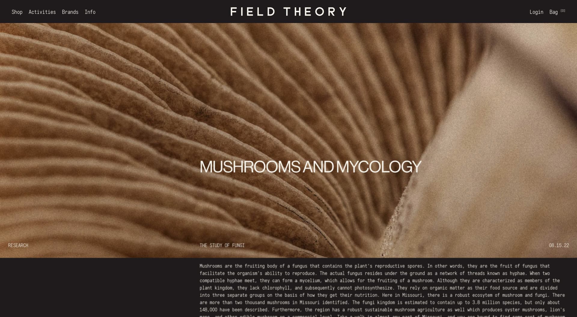 Field Theory – Creative Direction + Site Design